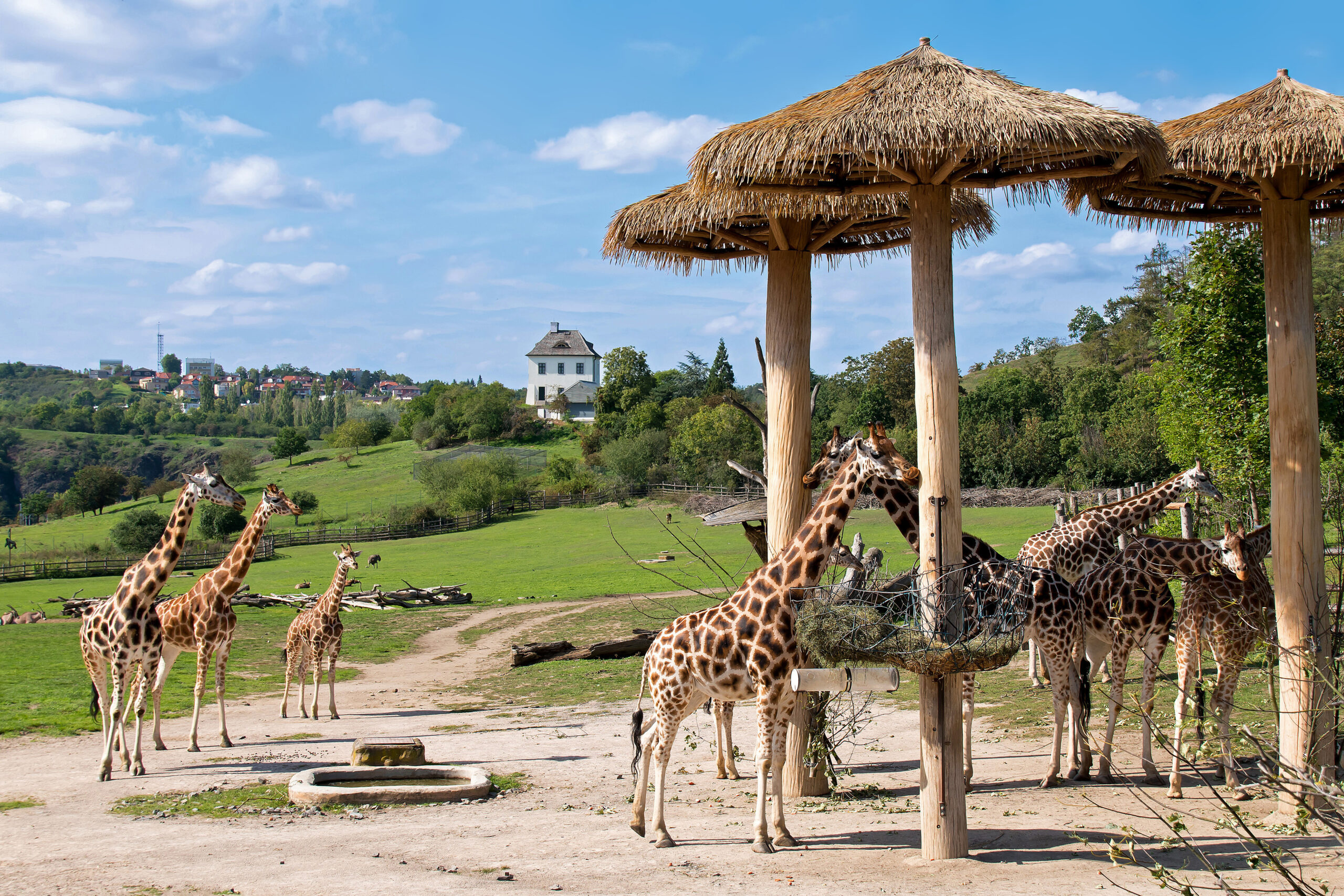 Prague Zoo (1931)