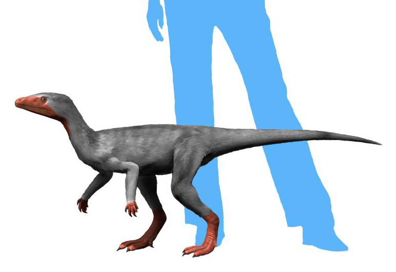 Eoraptor