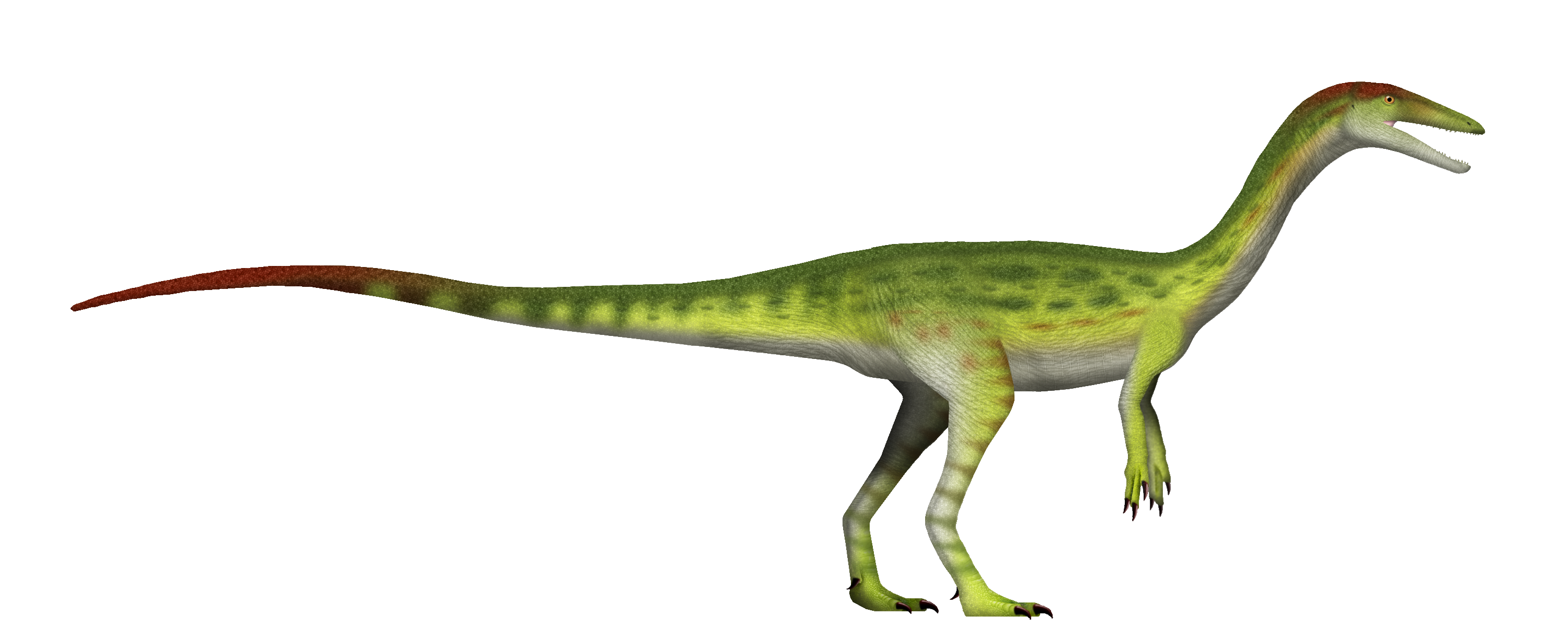 Coelophysis